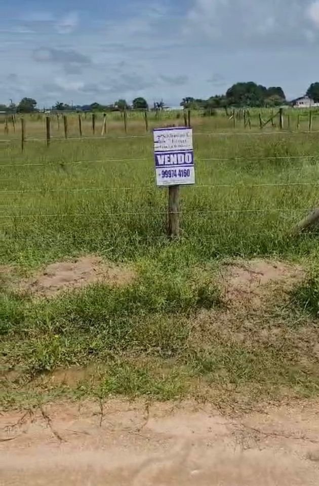 lote